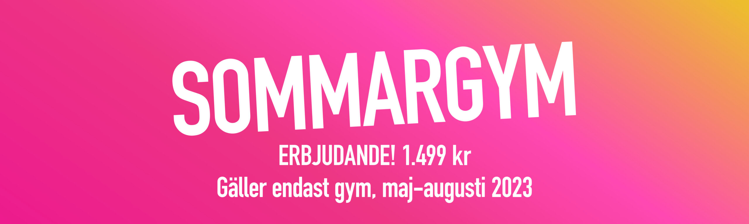 Johannas-Powerhouse-sommargym2023